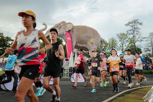 BIB: 
                            <button type="button" onclick="openModal(26528322)" class="btn btn-primary btn-sm float-right btn-popup" data-toggle="modal" data-target=".modal-high-quality">
                        <i class="fas fa-shopping-cart"></i> Add to Cart
                    </button>
                                            <button type="button" onclick="isThisMe(26528322, true)" class="btn btn-success btn-sm float-right btn-popup btn-isme hidden" data-toggle="tooltip" data-placement="bottom" title="นี่คือรูปของคุณใช่ไหม คลิกที่นี่เพื่อเอาเข้าอัลบั้ม">
                        <i class="fas fa-plus"></i> Add to album
                    </button>
                    <button type="button" onclick="isThisMe(26528322, false)" class="btn btn-warning btn-sm float-right btn-popup btn-isnotme hidden">
                        <i class="fas fa-ban"></i> Remove from album
                    </button>